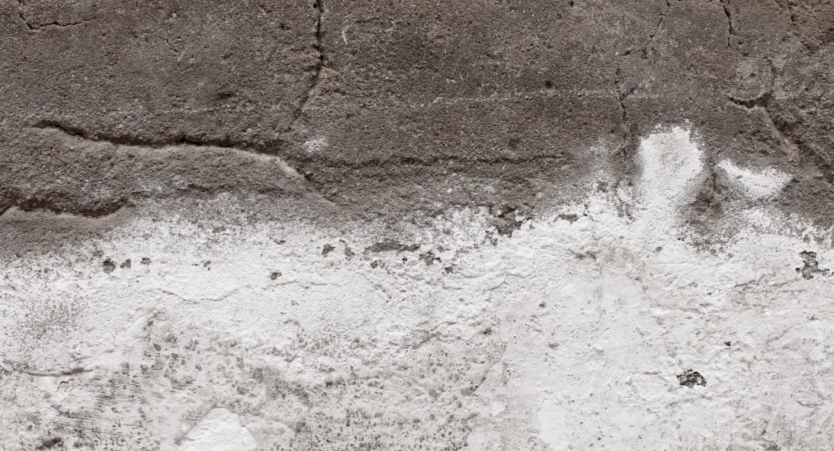How Moisture Affects Concrete The Role of Waterproofing in Longevity (1)