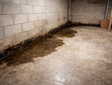Basement Waterproofing Near Me