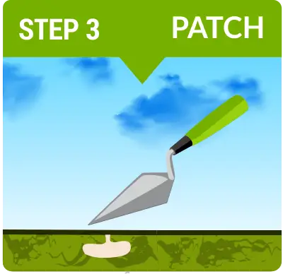 Concrete Raising Company Near Me