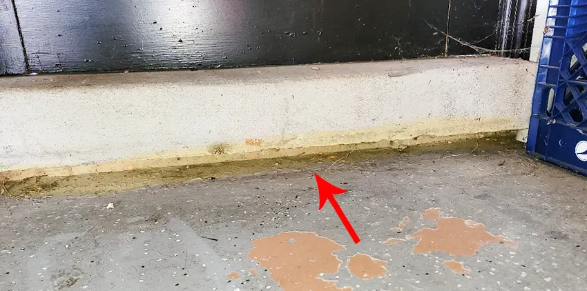 Garage Floor Leveling in St