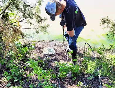 Soil Stabilization Near Me